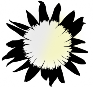 Rudbeckia Solar Eclipse